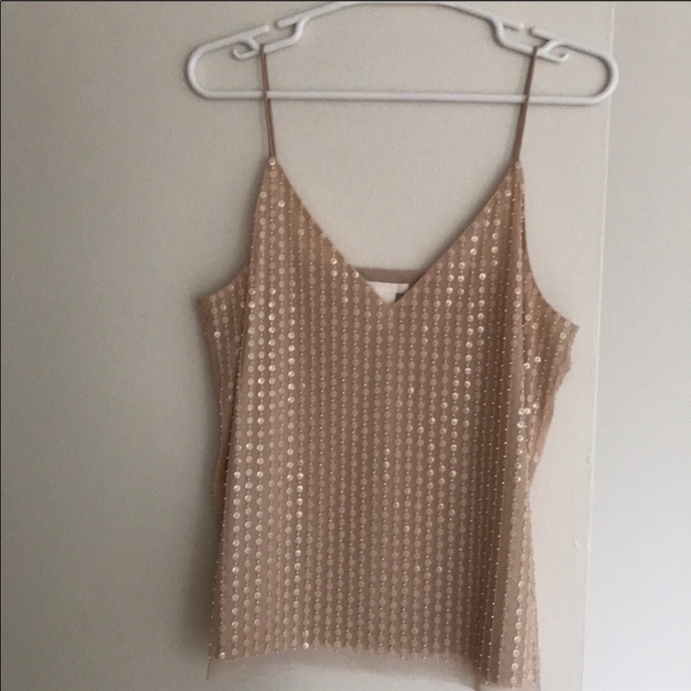 Sequin Blouse